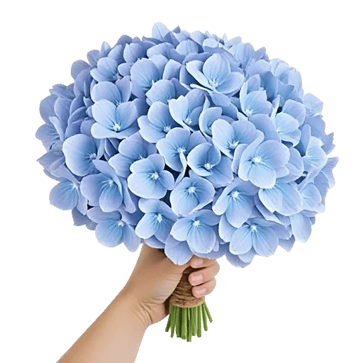 Sapphire Bloom Whisper