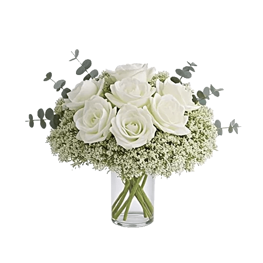 Minimalist White Orchids