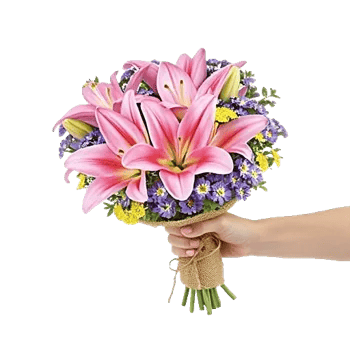 Blossom Petal Serenity