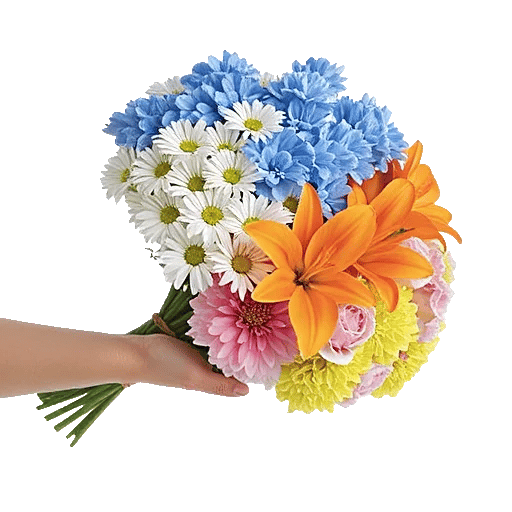 Serenity Blossom Grace