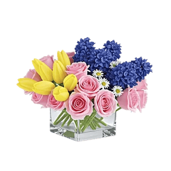 Velvet Tulip Display