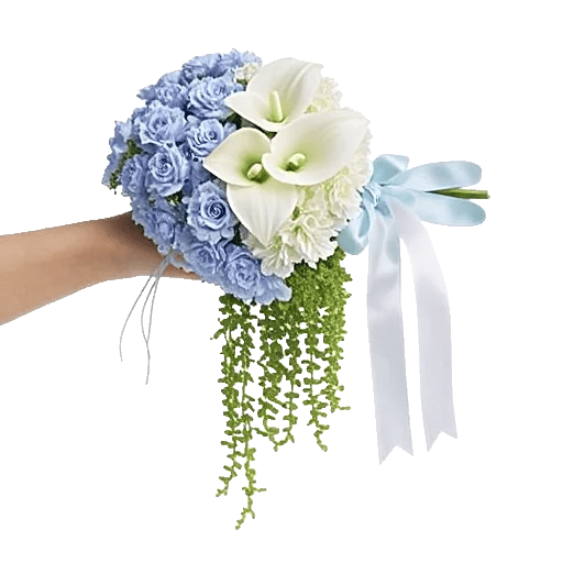 Serenity Blossom Grace