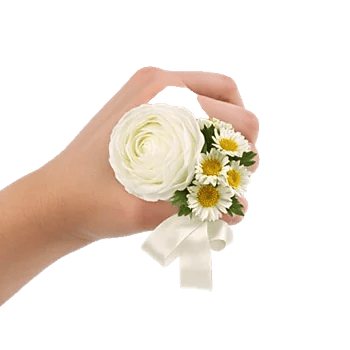 Delicate Petal Cascade