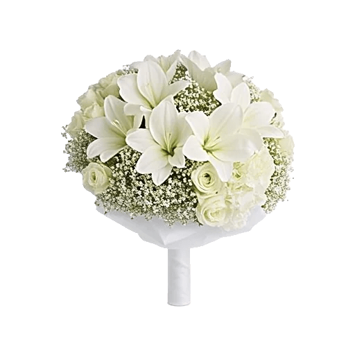 Elegant Calla Lilies