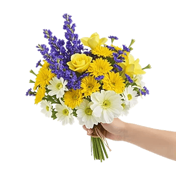 Blossom Harmony Display