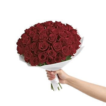 Crimson Rose Elegance