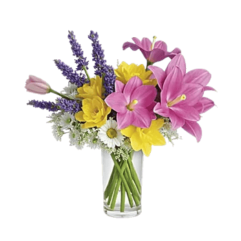 Ivory Blossom Radiance