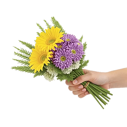 Enchanting Daisy Garden