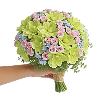 Delicate Petal Cascade