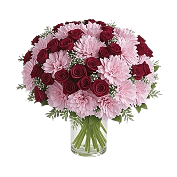 Pink Pastel Roses