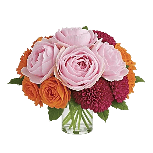 Petal Radiance Bliss