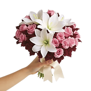 Blushing Rose Symphony