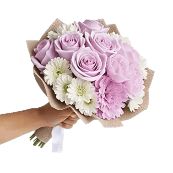 Delicate Petal Cascade