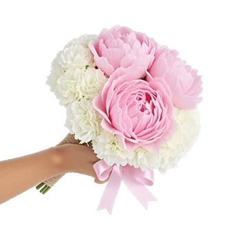 Peony Petal Harmony