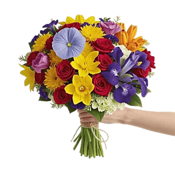 Dewy Morning Blossoms