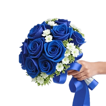 Elegant Blue Roses