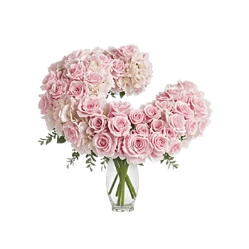 Serene Petal Harmony