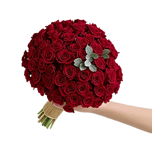 Crimson Rose Elegance