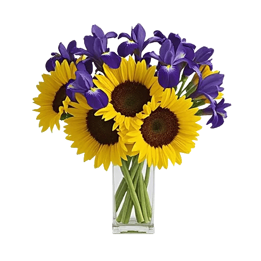 Radiant Bloom Cascade