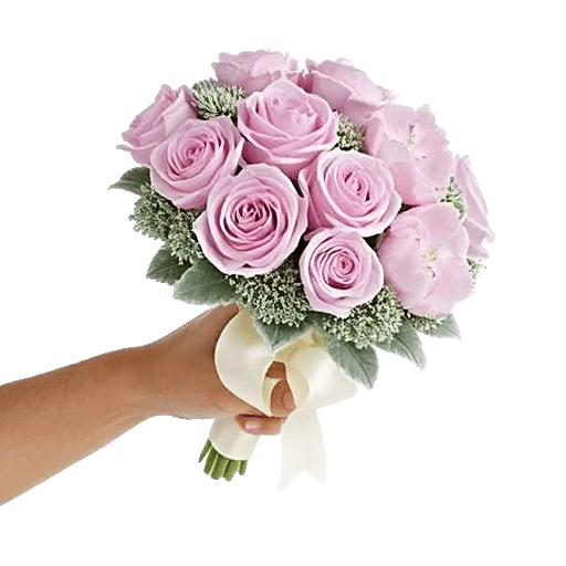 Pastel Pink Roses