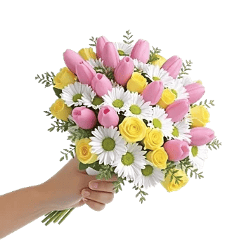 Blossom Harmony Display