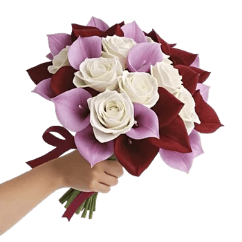 Elegant Calla Lilies