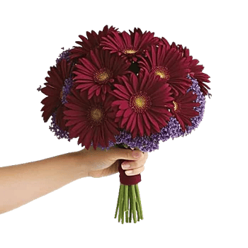 Ruby Petal Cascade