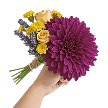 Crimson Blossom Harmony