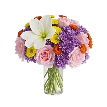 Petal Radiance Bliss