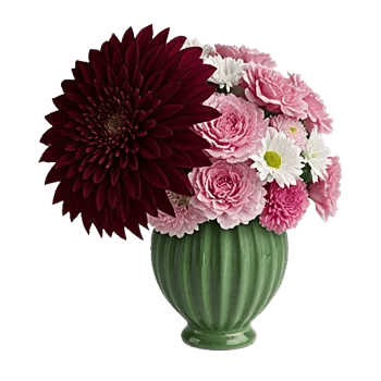 Crimson Blossom Harmony