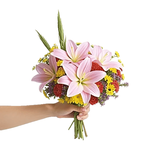 Blossom Petal Serenity