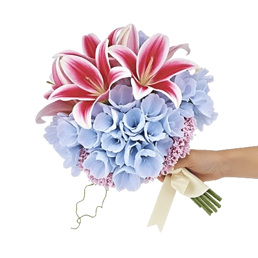 Blossom Petal Serenity