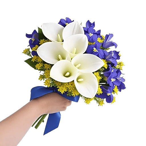 Elegant Calla Lilies