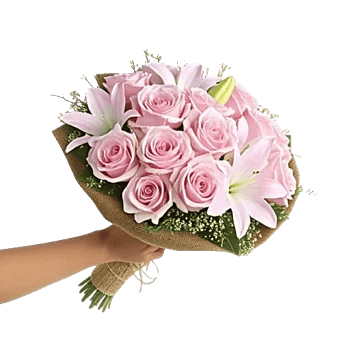Pastel Pink Roses