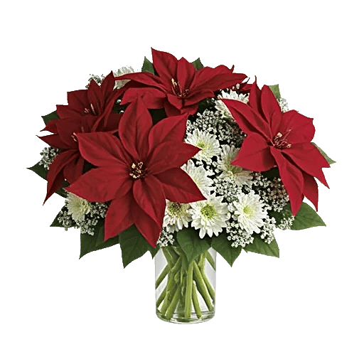 Crimson Blossom Harmony