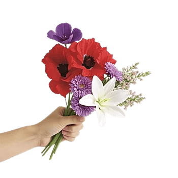 Blossom Harmony Display