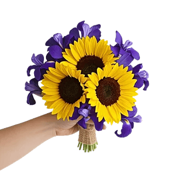 Amber Sunflower Glow