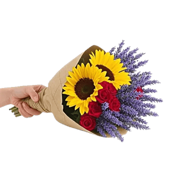 Twinkling Sunflower Dance