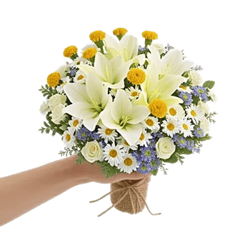 Ivory Garden Grace