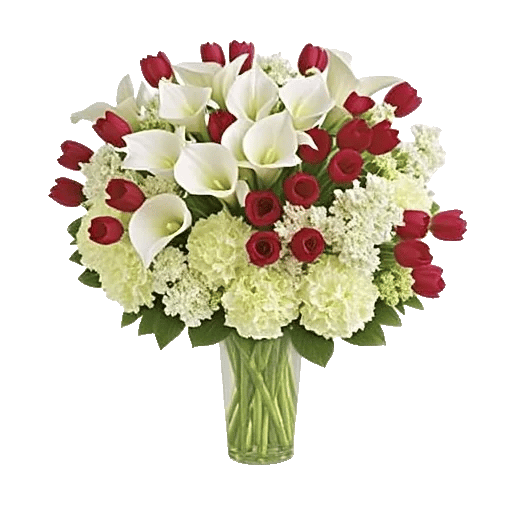 Elegant Calla Lilies