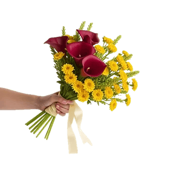Elegant Calla Lilies