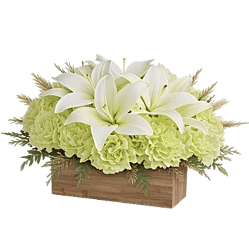 Graceful Lily Display