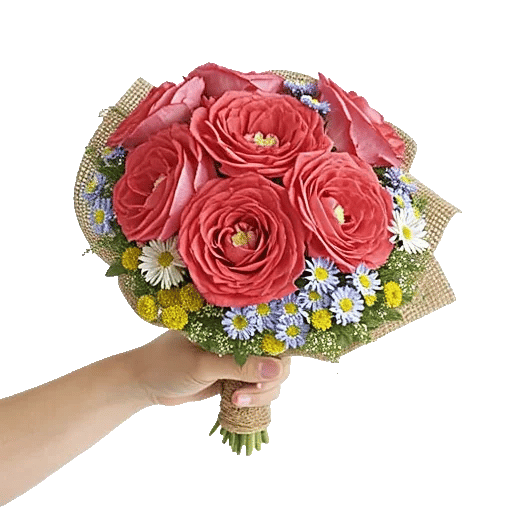 Coral Blossom Harmony