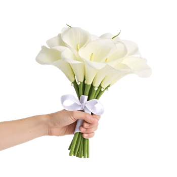 Elegant Calla Lilies