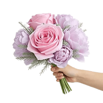 Pastel Pink Roses