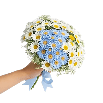 Blossom Petal Serenity