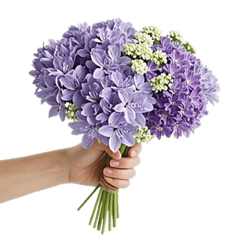 Blossom Harmony Display