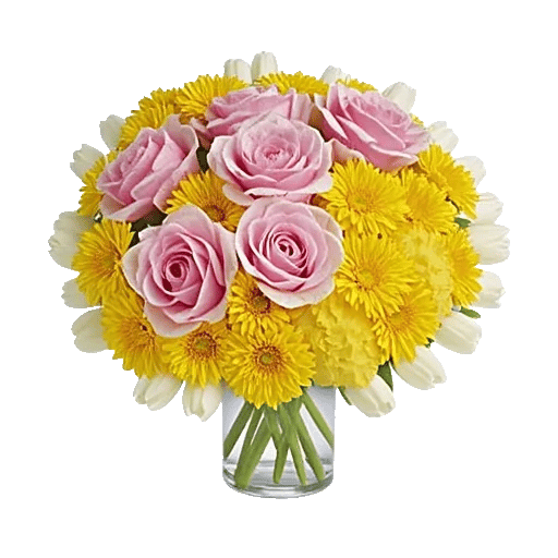 Petal Radiance Bliss