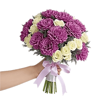 Pastel Pink Roses