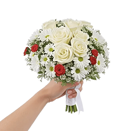 Blushing Rose Symphony